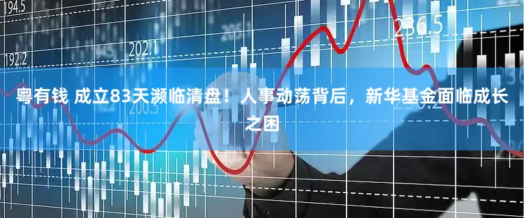 粤有钱 成立83天濒临清盘！人事动荡背后，新华基金面临成长之困