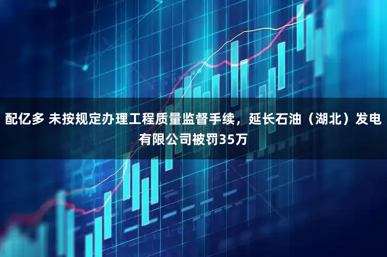 配亿多 未按规定办理工程质量监督手续，延长石油（湖北）发电有限公司被罚35万
