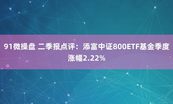 91微操盘 二季报点评：添富中证800ETF基金季度涨幅2.22%