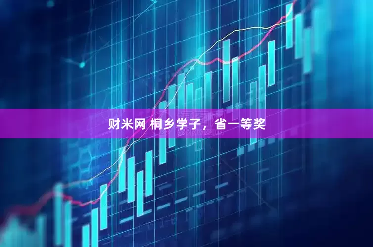 财米网 桐乡学子，省一等奖