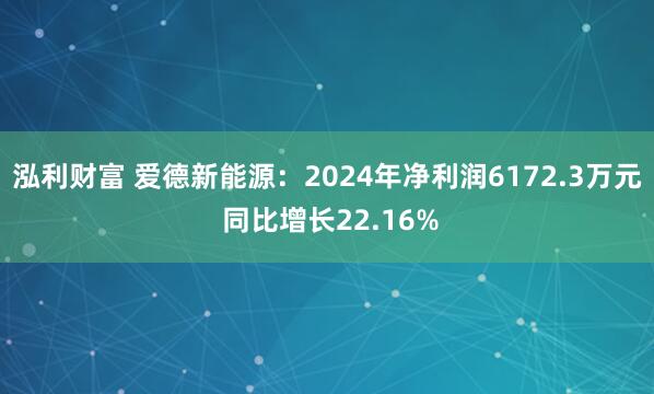 泓利财富 爱德新能源：2024年净利润6172.3万元 同比增长22.16%
