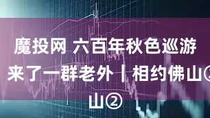 魔投网 六百年秋色巡游，来了一群老外｜相约佛山②
